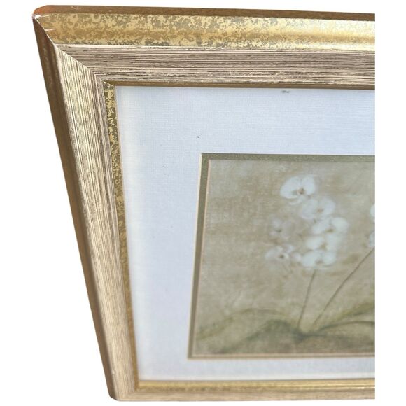 Framed Botanical Wall Art Prints Set of 2 Gold Wood Frame Neutral Floral Vintage - Picture 15 of 15